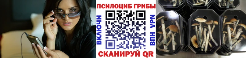 Псилоцибиновые грибы мухоморы  как найти наркотики  Юрюзань 